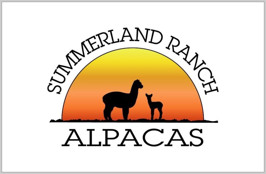 Logo Design Flower Mound Brand Development Design a Logo