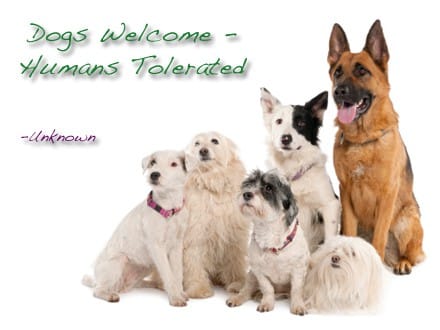 Quote of the Day - Dogs Only Club