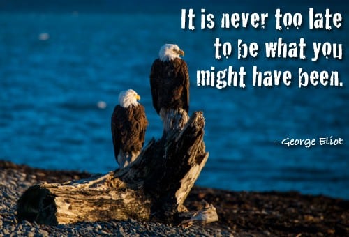 Quote of the Day - It's Never Too Late to Make Your Dreams Come True