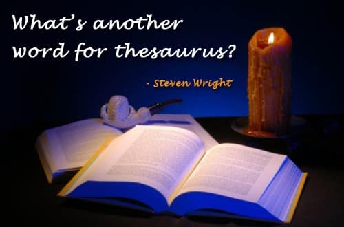 A Synonym for ‘Thesaurus’