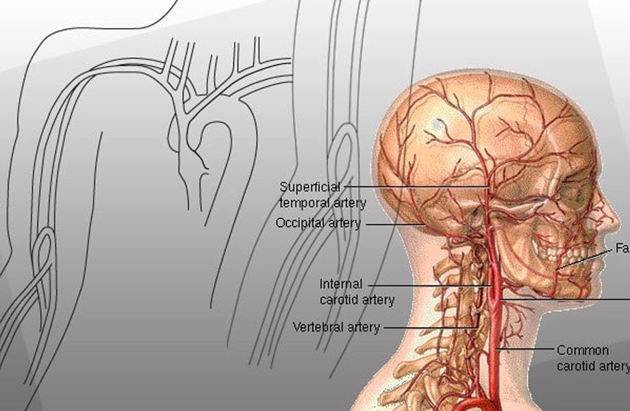 Custom website design created for a McKinney company to improve user experience and lead generation.