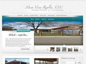 Mesa View Realty Website Design Raton NM
