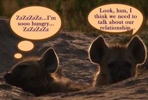Quote of the Day Image of Hyenas in Desert