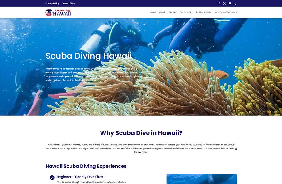 Chiropractic Website Design for Chiropractors - website design for Chiropractors