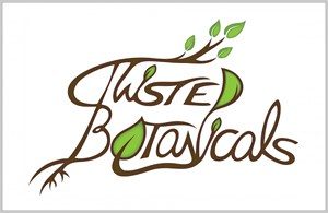 Twisted Botanicals Logo Design Flower Mound