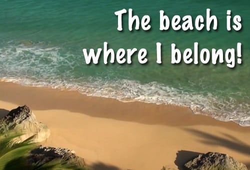 Quote of the Day - The Beach is Where I Belong