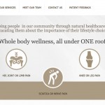 Website Design Portfolio Chiropractic Holten