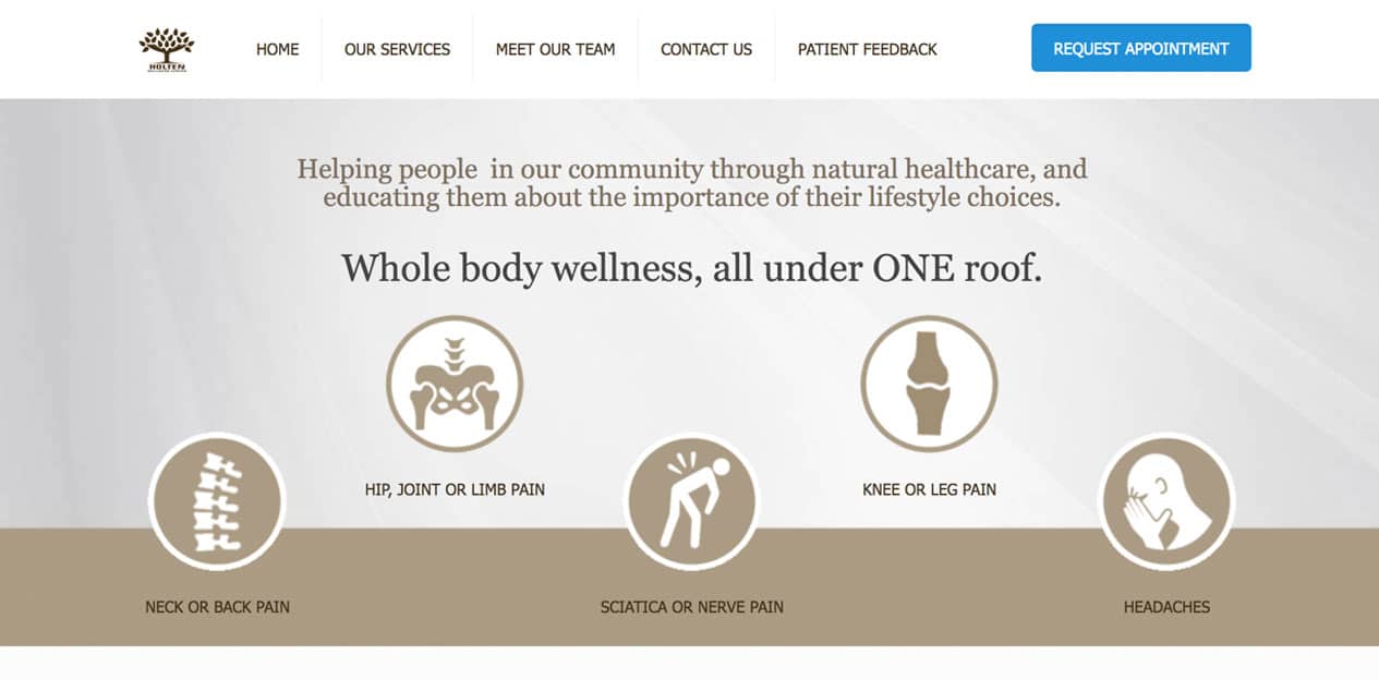 Website Design Portfolio Chiropractic Holten