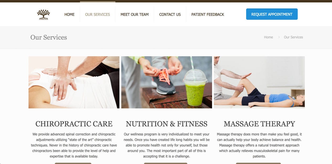 Website Design Portfolio Chiropractic Holten